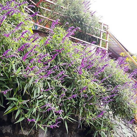 Sapa Tatu Homestay المظهر الخارجي الصورة