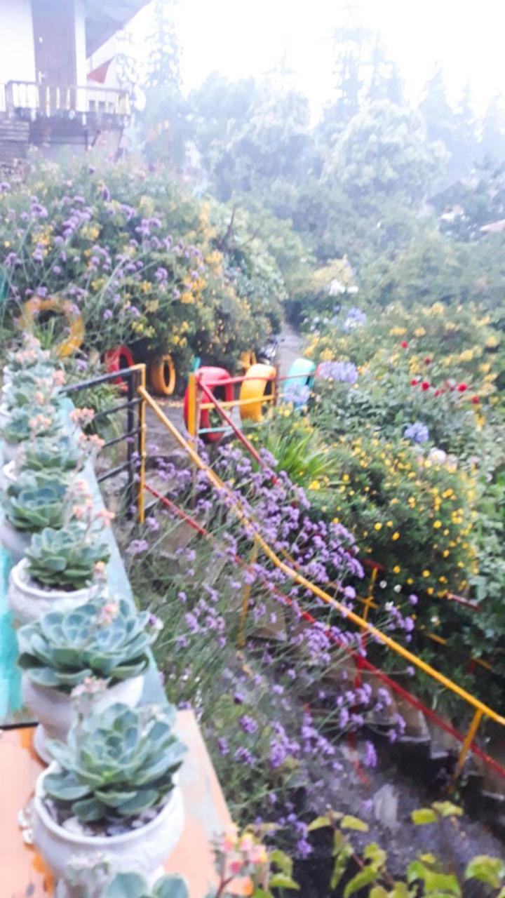 Sapa Tatu Homestay المظهر الخارجي الصورة