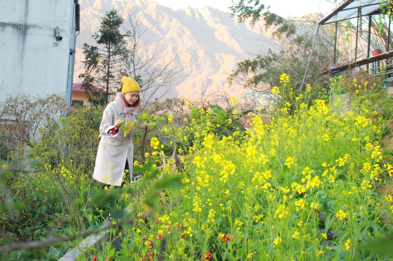 Sapa Tatu Homestay المظهر الخارجي الصورة