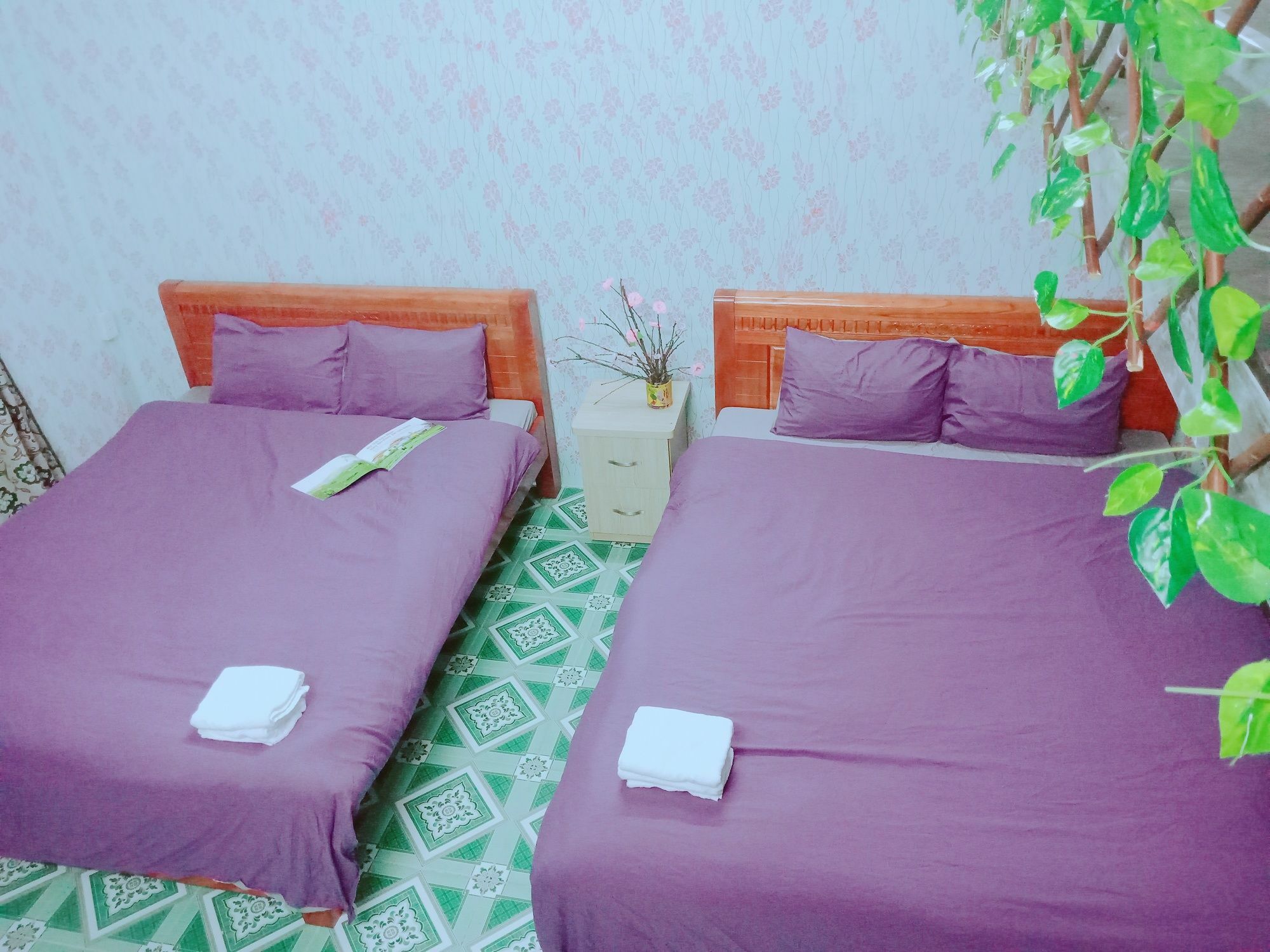 Sapa Tatu Homestay المظهر الخارجي الصورة