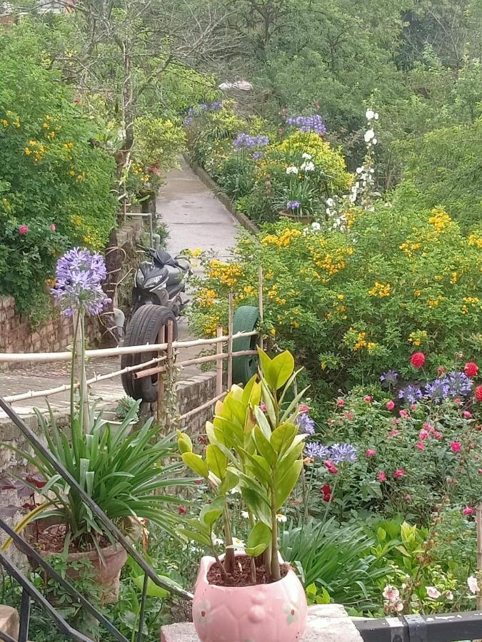 Sapa Tatu Homestay المظهر الخارجي الصورة
